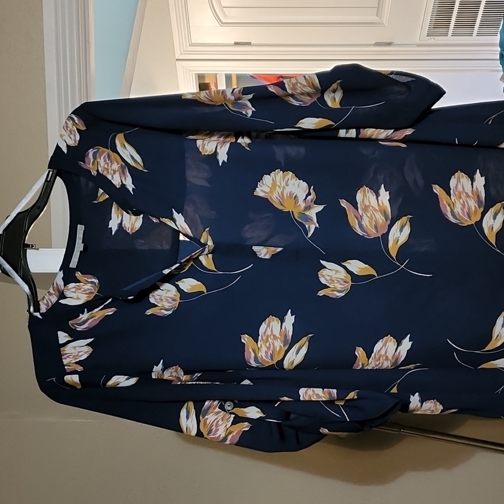 danielrainn blouse size 1X